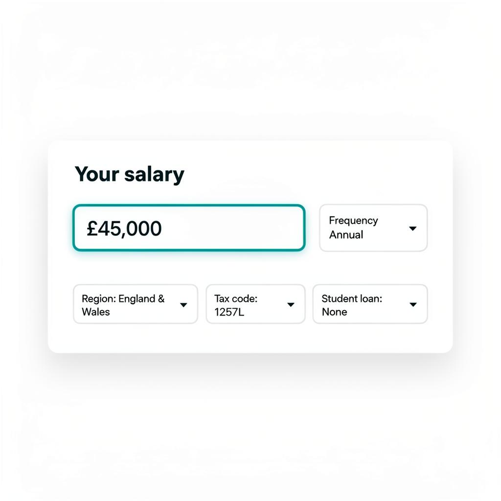 Paycheck Planner Pro salary input panel.